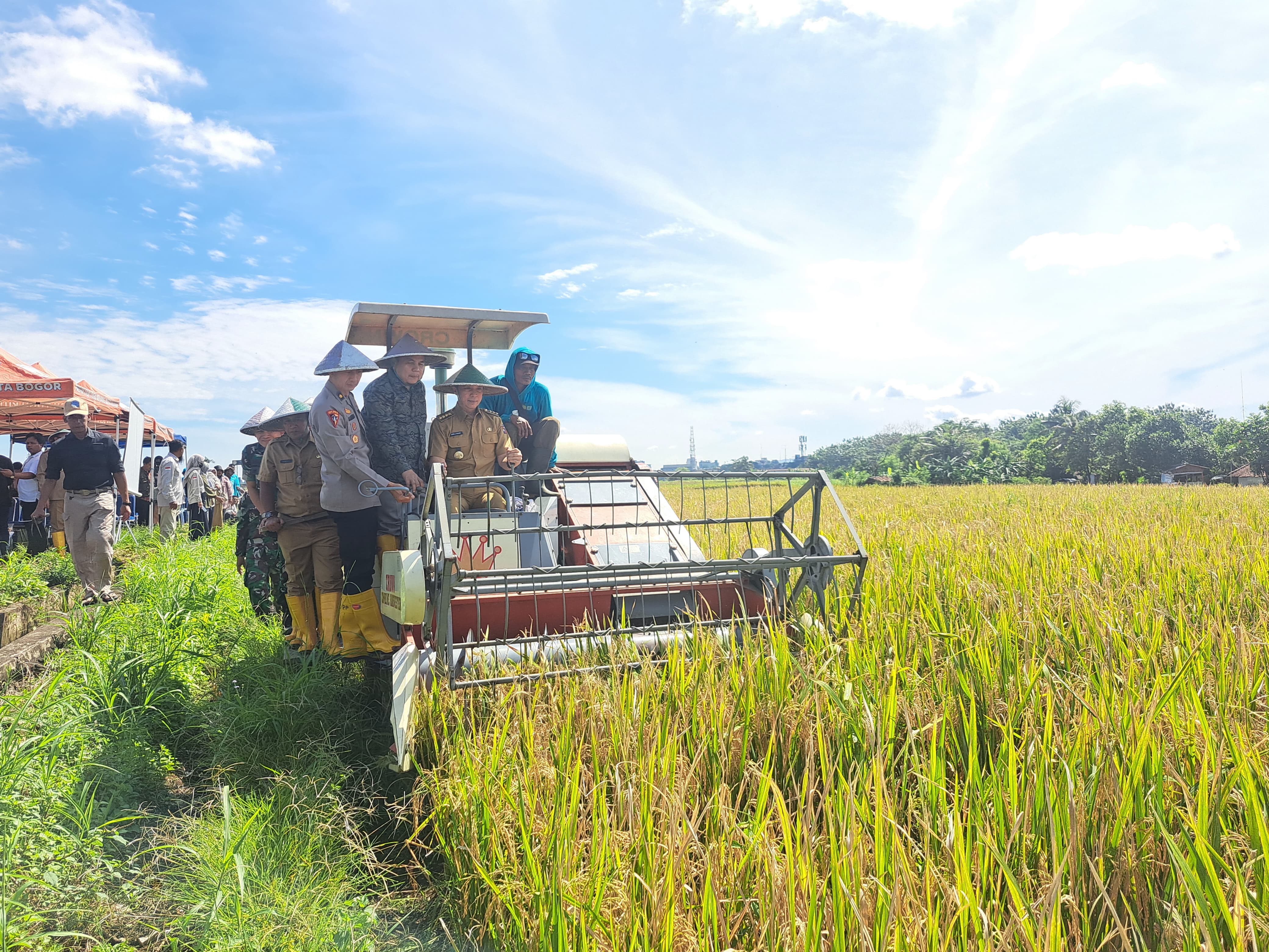 Wali Kota Bogor, saat Panen Raya di lahan pertanian IP2TP di Kelurahan Pasirjaya, Kecamatan Bogor Barat, Senin (7/4/2025).