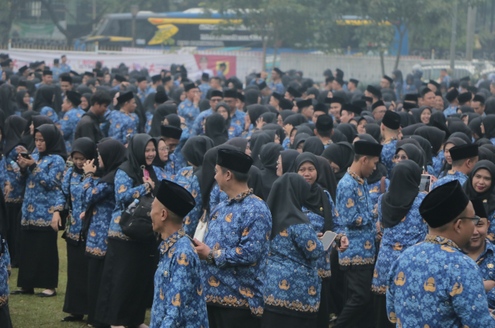 Ilustrasi pengangkatan PPPK.