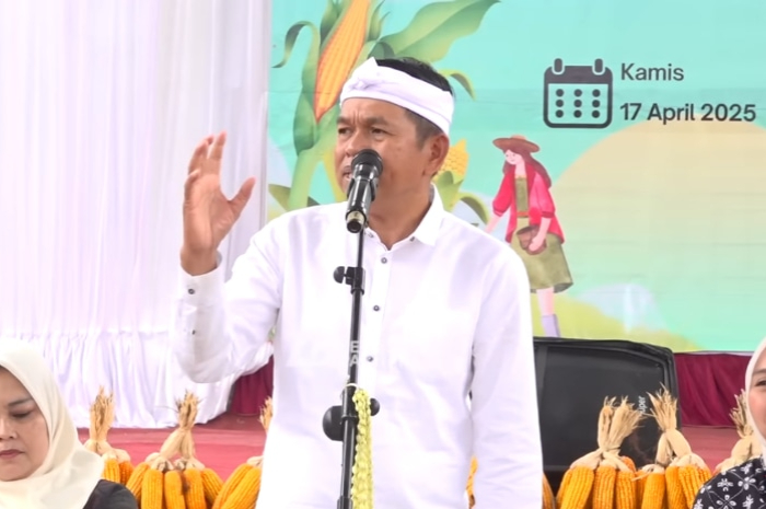 Gubernur Jawa Barat Dedi Mulyadi