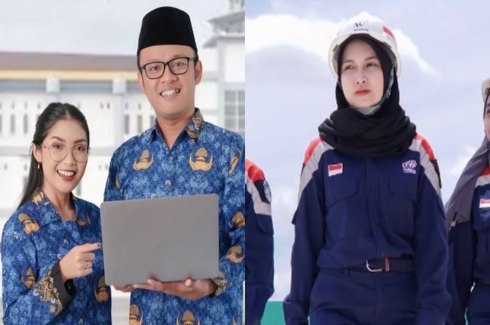 Ilustrasi PNS dan Pegawai BUMN.
