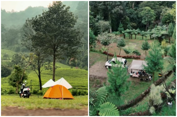 Begini suasana Pinus Ecopark di kawasan Puncak Bogor