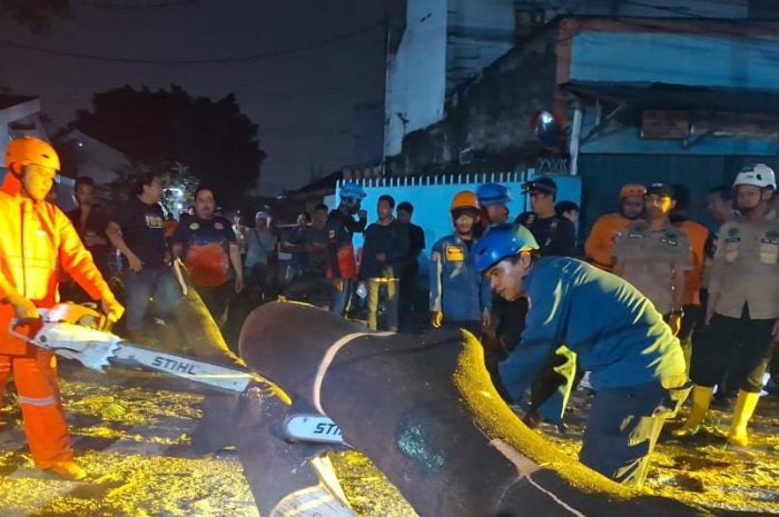 Tim gabungan saat mengevakuasi pohon tumbang di Gunung Putri, Kabupaten Bogor.