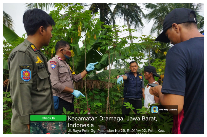 Warga Kampung Nagrok, Desa Petir, Kecamatan Dramaga, Kabupaten Bogor, digegerkan penemuan mayat tanpa identitas di sebuah kebun singkong, Minggu (27/3/2025).