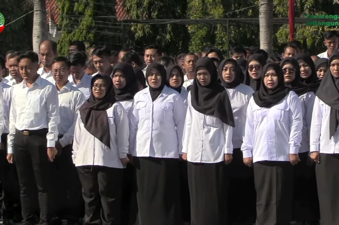 Pengangkatan PPPK dan CPNS Formasi 2024