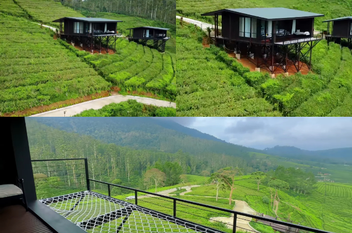 Pemandangan glamping di Bambulogy Cabin
