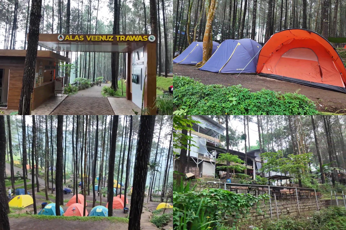 Alas Veenuz Trawas, primadona wisata camping di Mojokerto, Jawa Timur.