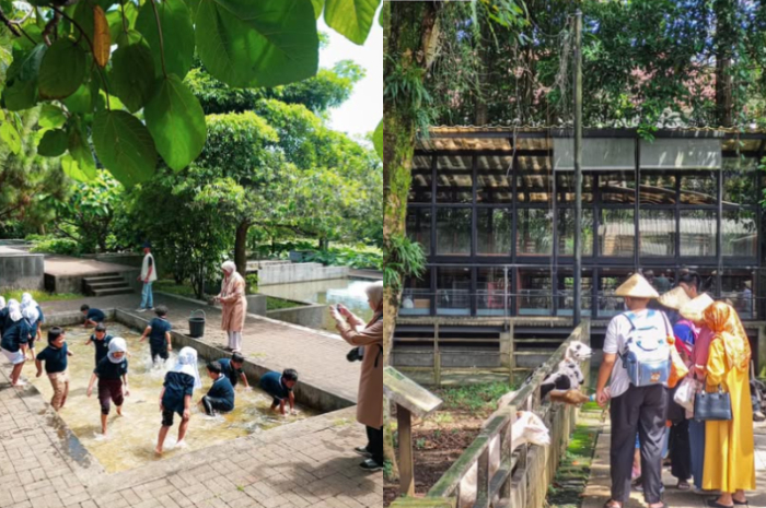 Kuntum Farmfield menjadi destinasi wisata dengan konsep edukasi dan menjadi favorit keluarga.