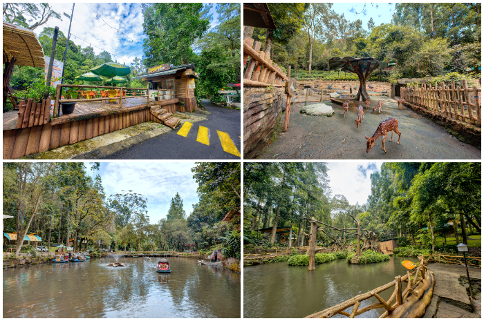 Suasana Safari Resort di kawasan Taman Safari Indonesia Cisarua Bogor