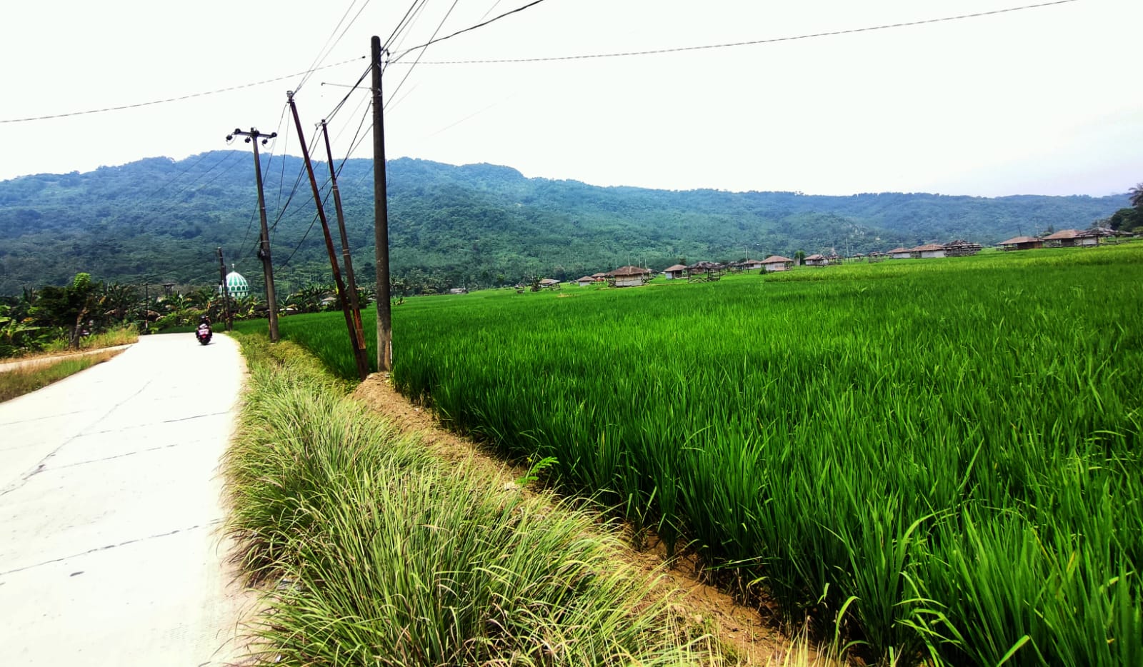 Keindahan jalur touring di kawasan Puncak Dua, Kecamatan Sukamakmur, Kabupaten Bogor.