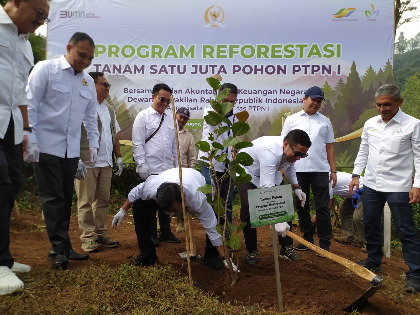 Badan Akuntabilitas Keuangan Negara (BAKN) DPR RI menggandeng PT Perkebunan Nusantara I Regional 2 meluncurkan program reboisasi penanaman satu juta pohon di kawasan Puncak, Kabupaten Bogor.