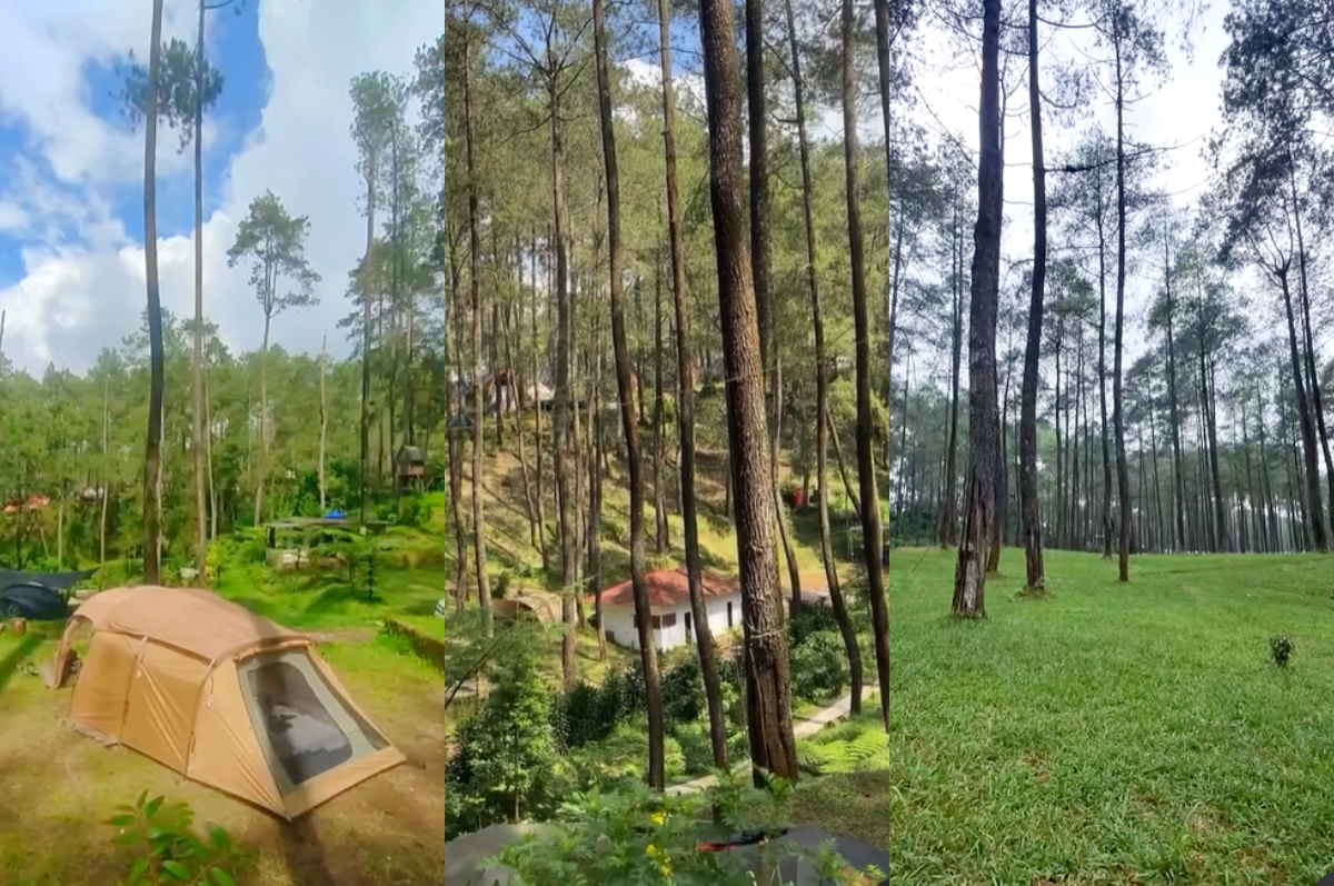 Camping menyenangkan di Pinevalley Cikole.