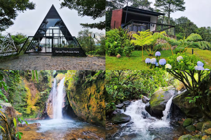 Resort Cabin Bukit Bentang di Bogor