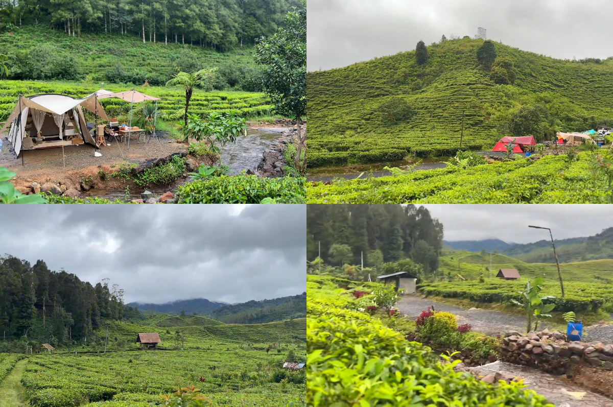 Liburan romantis di Jamuju Camping Park Ciwidey.