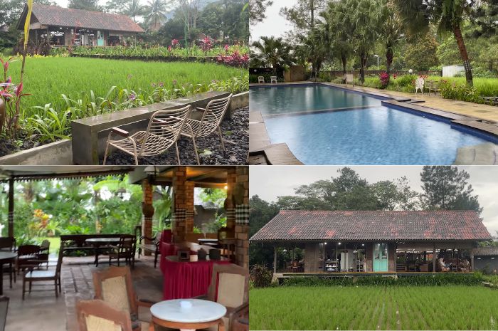 Kedai Kopi Rumasa, hidden gem coffee shop di Bogor yang asri dan menenangkan.