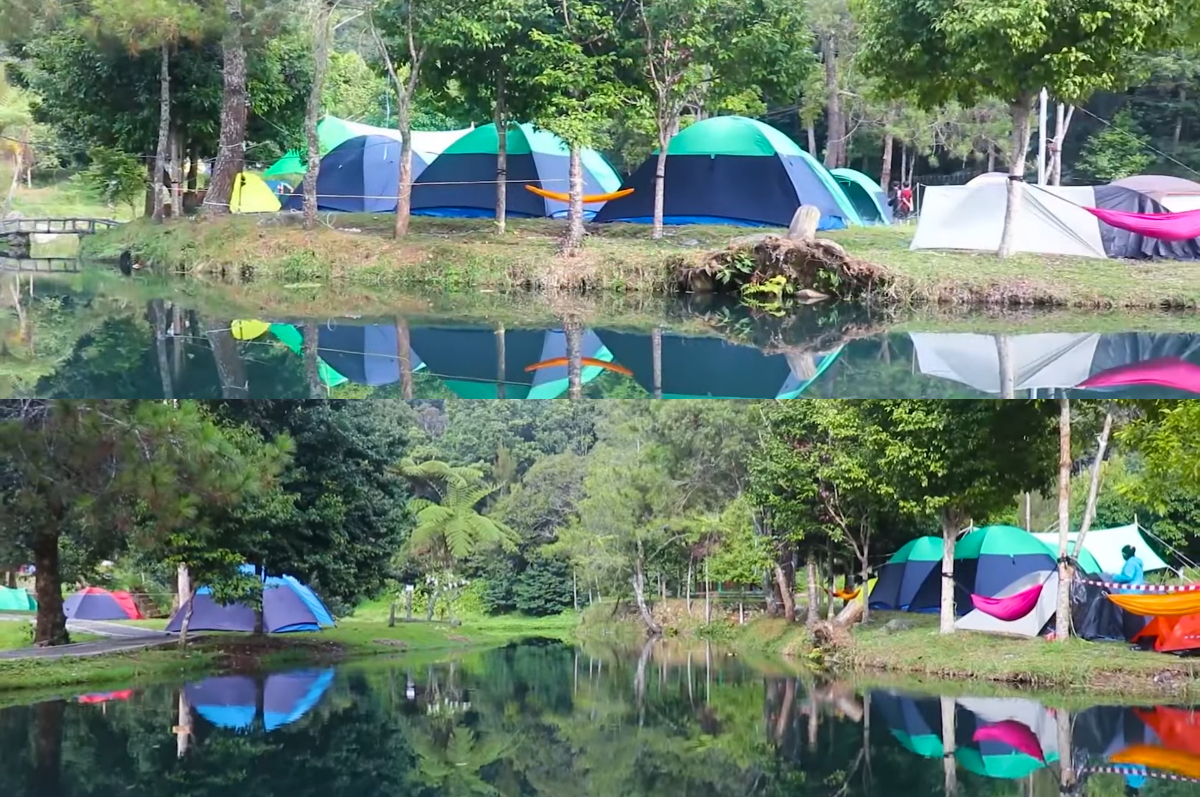 Berkemah seru di Mandalawangi Camping Ground Cibodas.
