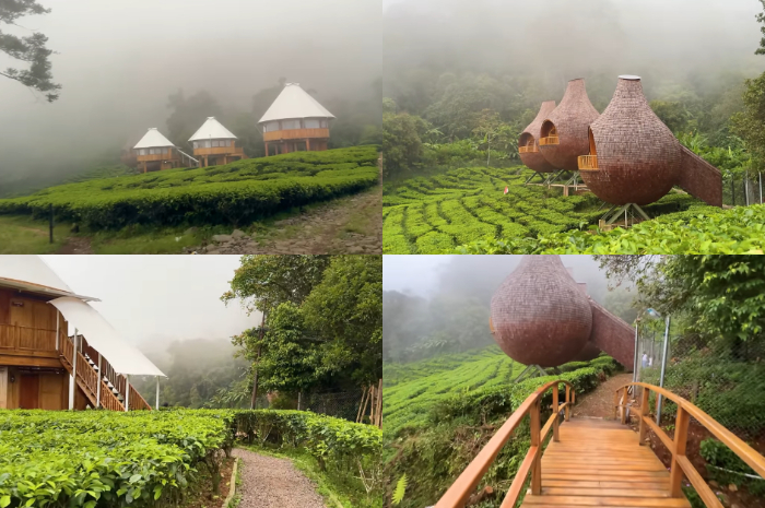 Glamping The Ciliwung Adventure Camp di kawasan Puncak Bogor