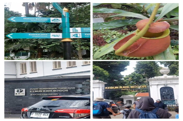 Kebun Raya Bogor di kawasan Paledang, Kota Bogor