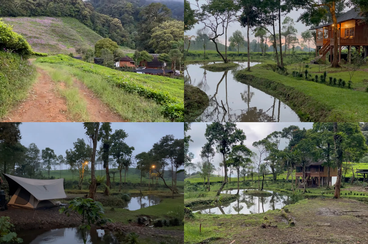 Camping syahdu di Pagayo Camp Bogor.