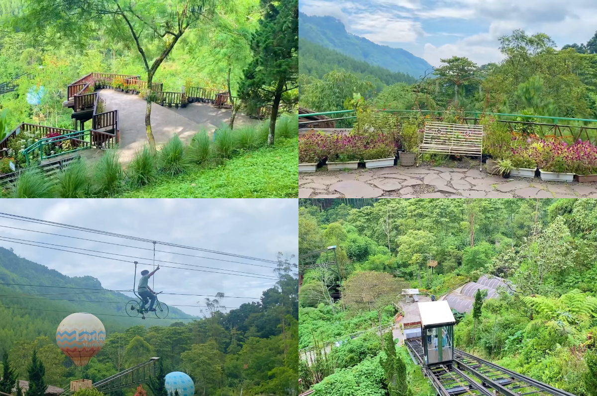 Menikmati serunya wahana melayang di tengah indahnya hutan pinus The Lodge Maribaya, Lembang.