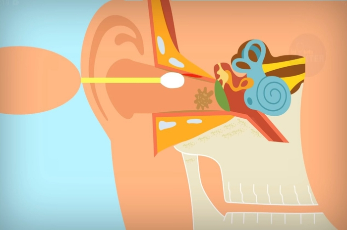 Ilustrasi Membersihkan Telinga