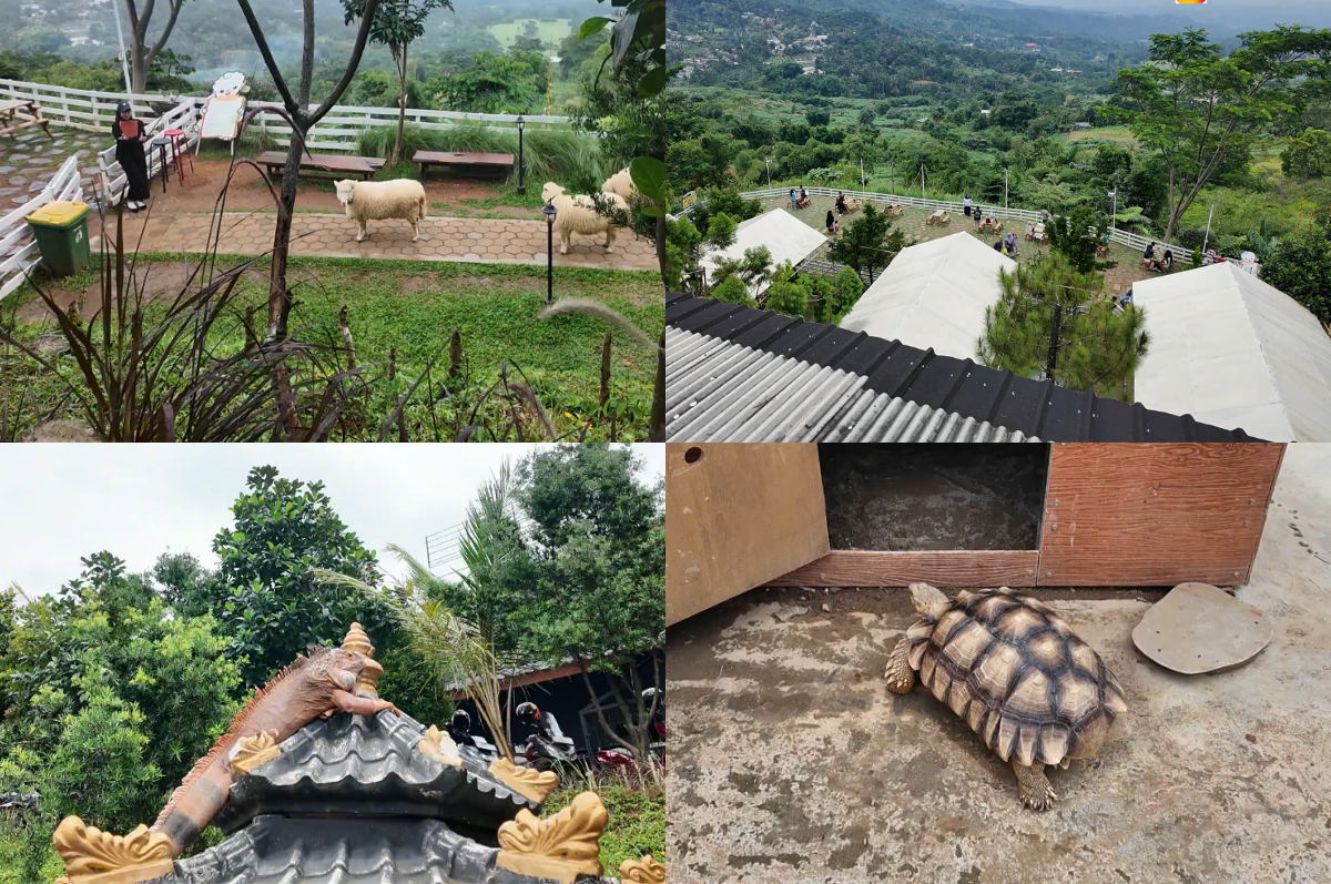 Serunya berwisata bersama anak-anak ke Wooly Sheep Cafe.