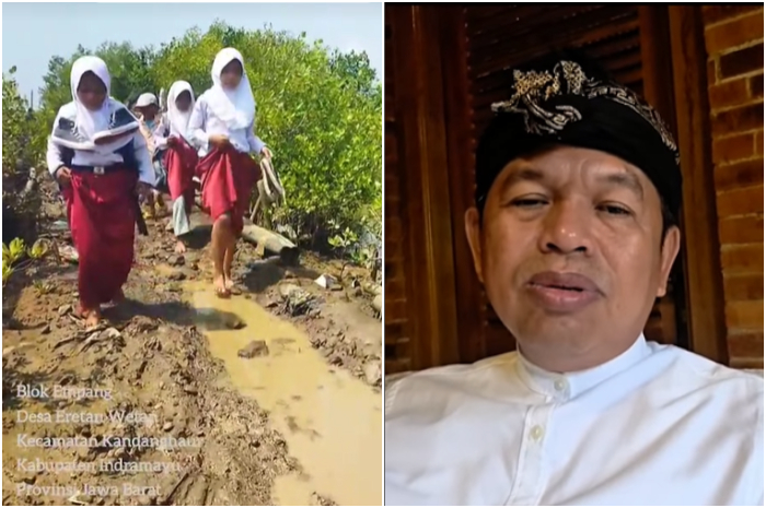 Gubernur Jawa Barat Dedi Mulyadi menanggapi video viral siswa SD melintasi jalan rusak di Indramayu.