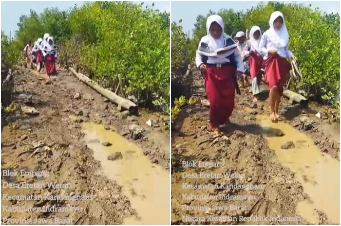 Siswa SD di Kandanghaur, Kabupaten Indramayu, Jawa Barat jalan kaki ke sekolah melintasi jalan rusak dan berharap ada perbaikan oleh Gubernur Jawa Barat Dedi Mulyadi.