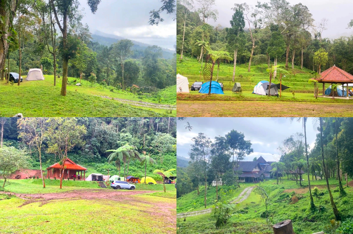 Suasana tenang di Kasumi Campsite dikelilingi hutan pinus yang asri.