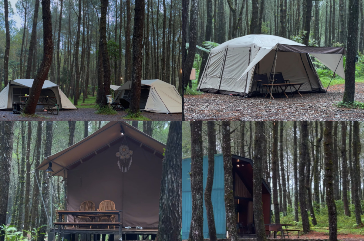 Camping di Tangkal Pinus Lembang, suansananya bikin nyaman.
