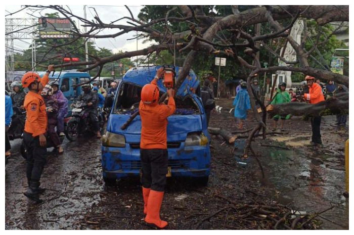 Petugas BPBD Kabupaten Bogor, mengevakuasi angkot yang tertimpa pohon tumbang di Jalan Raya Bogor-Jakarta, Senin (19/5/2025) sore.