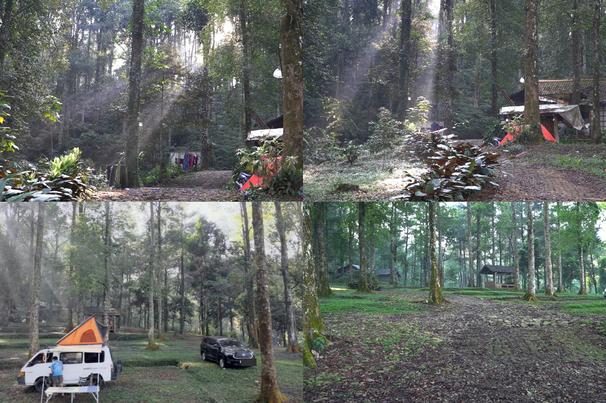 Kemah bersama keluarga ke Rumpun Tulip Camping Ground, akan jadi pengalaman tak terlupakan.