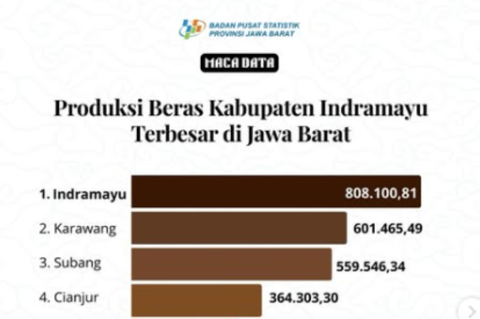 Indramayu menjadi daerah yang unggul dalam produksi padi pada tahun 2024.