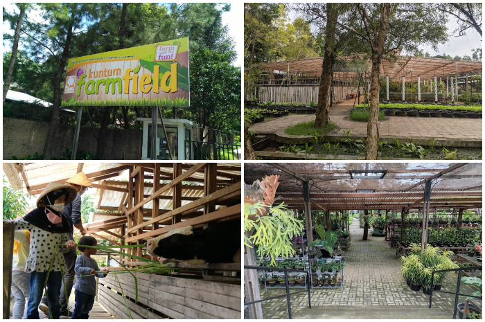 Kuntum Farmfield di Sindangrasa, Bogor Timur, Jalan Raya Tajur No. 291, Kota Bogor