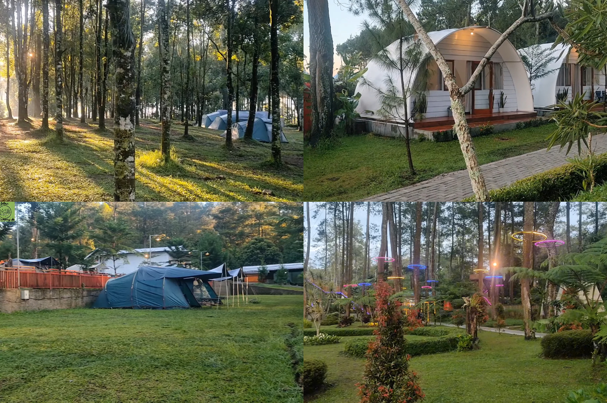 Suasana camping keluarga di Kebon Pines, Lembang.