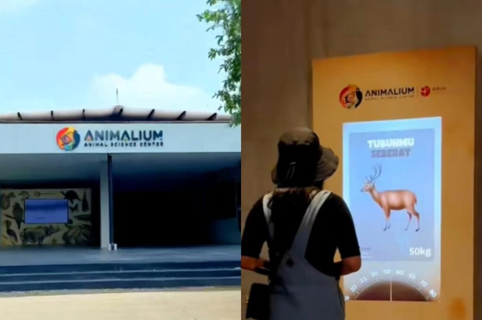 Animalium BRIN, destinasi wisata edukasi seru di Cibinong yang wajib dikunjungi.