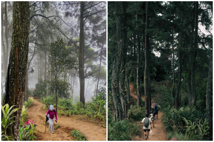 Treking seru di Bukit Paniisan yang ada di Sentul, Bogor.