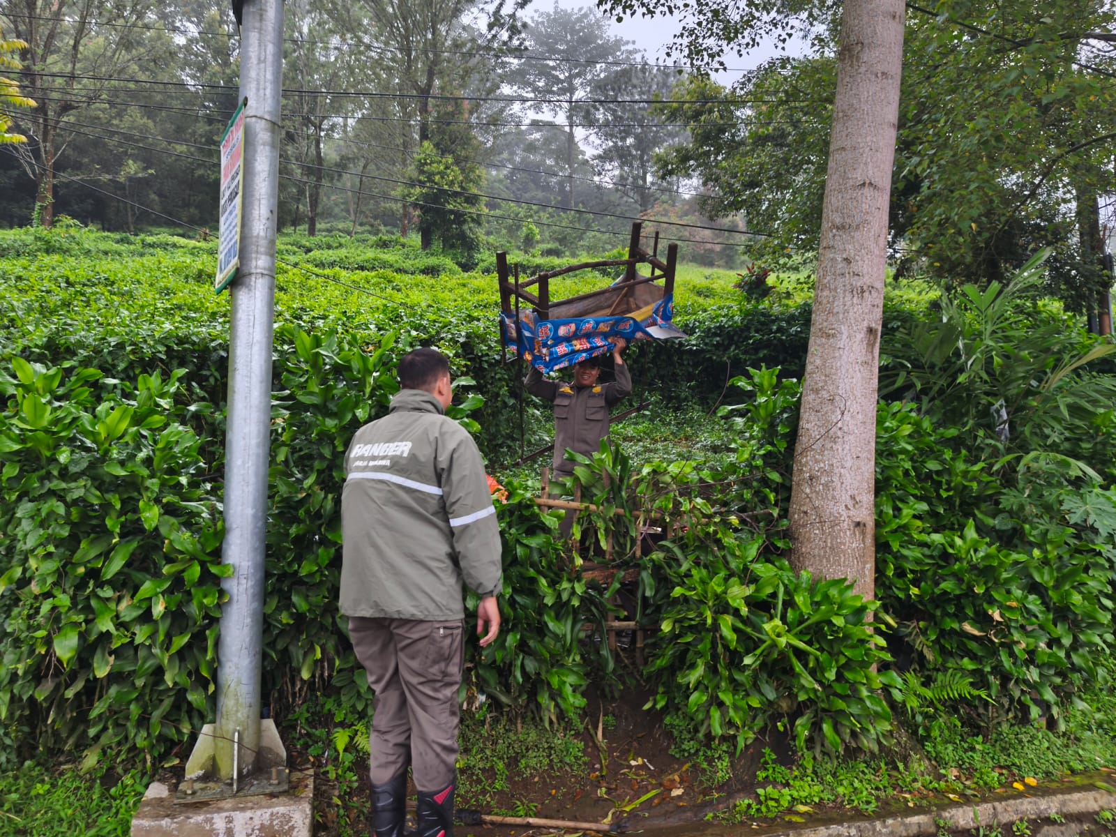 Satpol PP Kabupaten Bogor, kembali menertibkan para Pedagang Kaki Lima (PKL) di ruas Jalan Raya Puncak, Kecamatan Cisarua, Jumat (23/5).