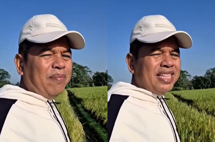 Gubernur Jawa Barat Dedi Mulyadi menyampaikan kembali kedatangan ular king kobra di rumahnya.