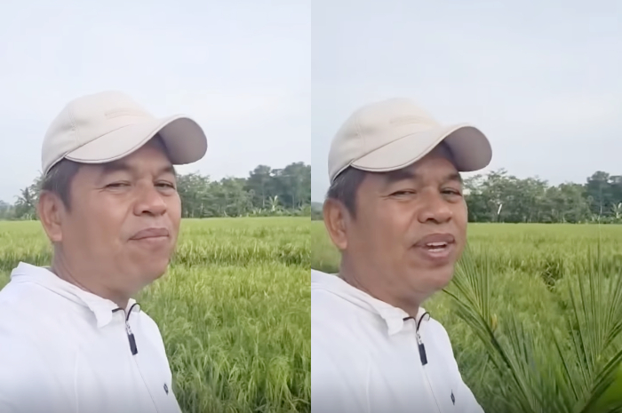 Gubernur Jawa Barat Dedi Mulyadi menyapa masyarakat melalui sosial media