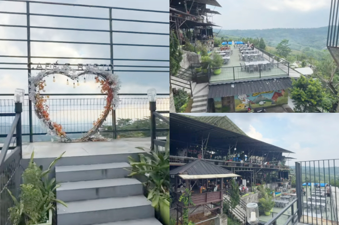 Wooly Cafe dan Mini Zoo di Bogor
