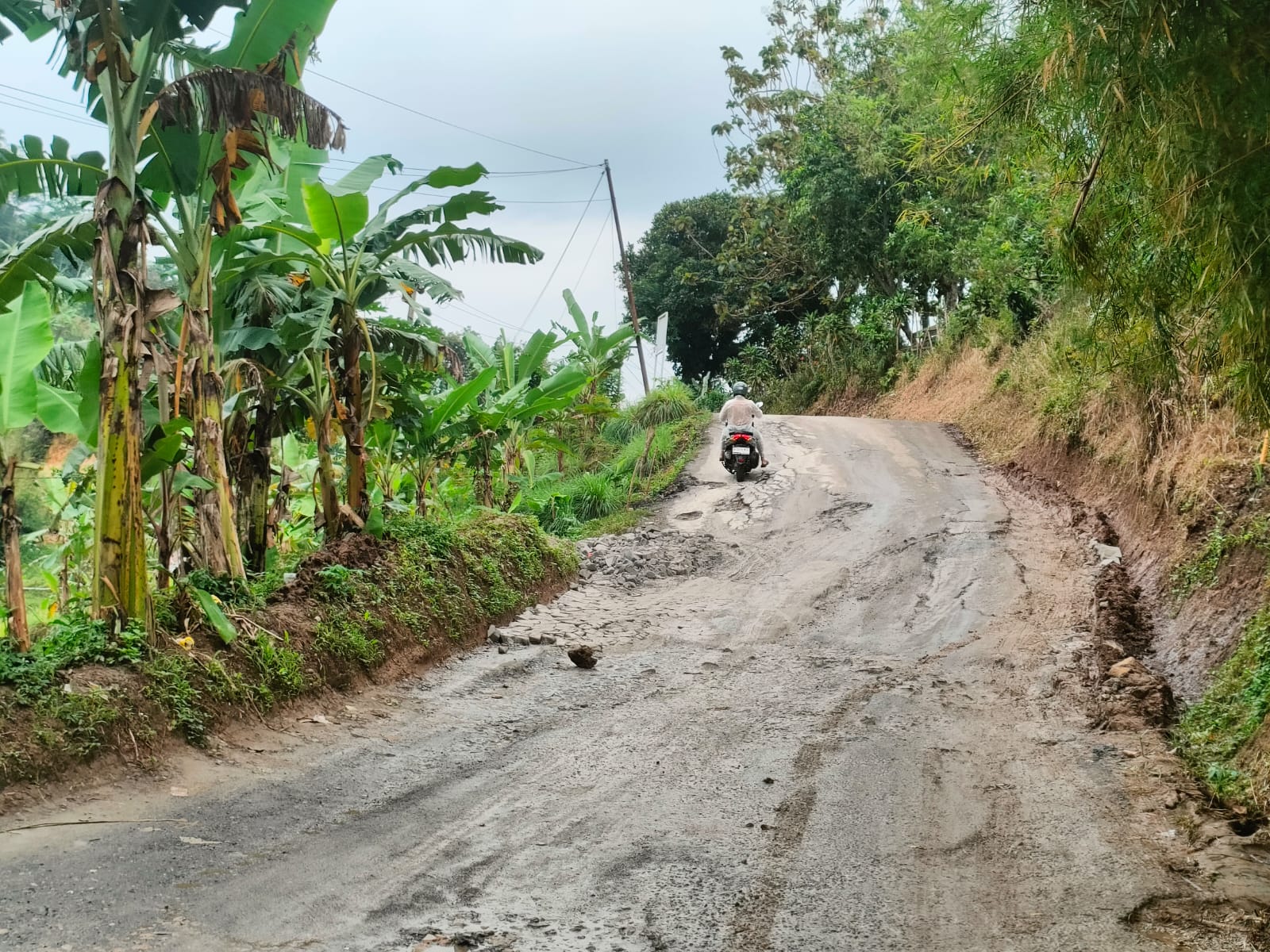 Kondisi Jalan Raya Sukamakmur-Citeureup, Kabupaten Bogor, yang rusak parah dan dikeluhkan masyarakat.