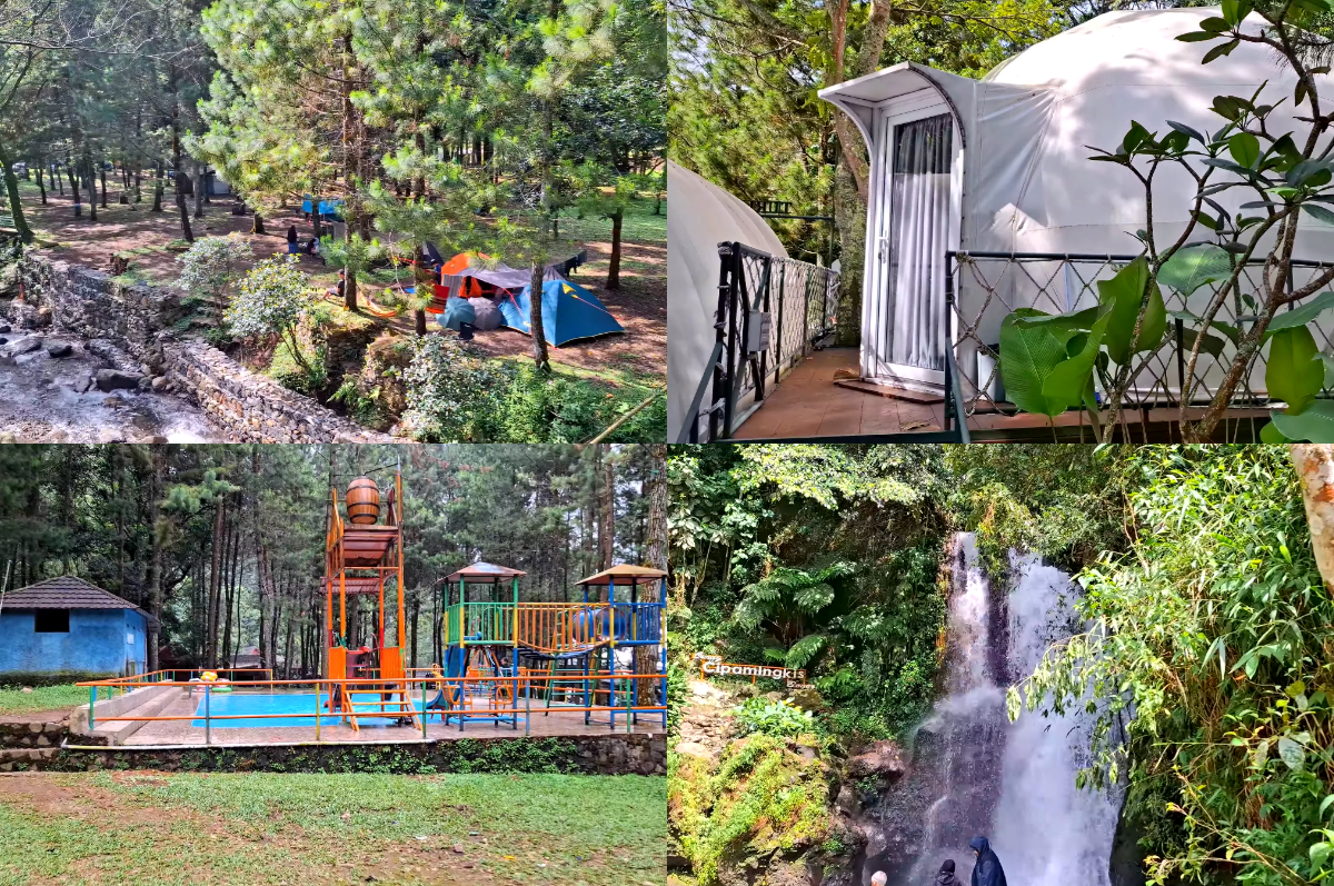 Air terjun Curug Cipamingkis dikelilingi hutan pinus yang asri dan udara pegunungan yang sejuk.