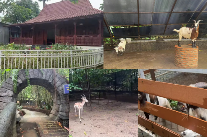 Jakarta Escape, destinasi wisata liburan keluarga di Jakarta