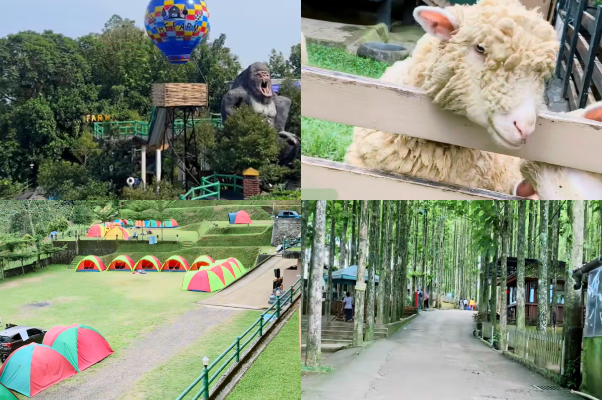 Ada mini zoo hingga camping ground di The Farm Pancawati.