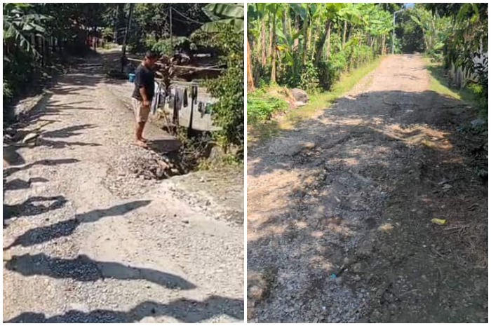 Kondisi Jalan Desa Cibatu Tiga Cariu Bogor yang rusak parah.