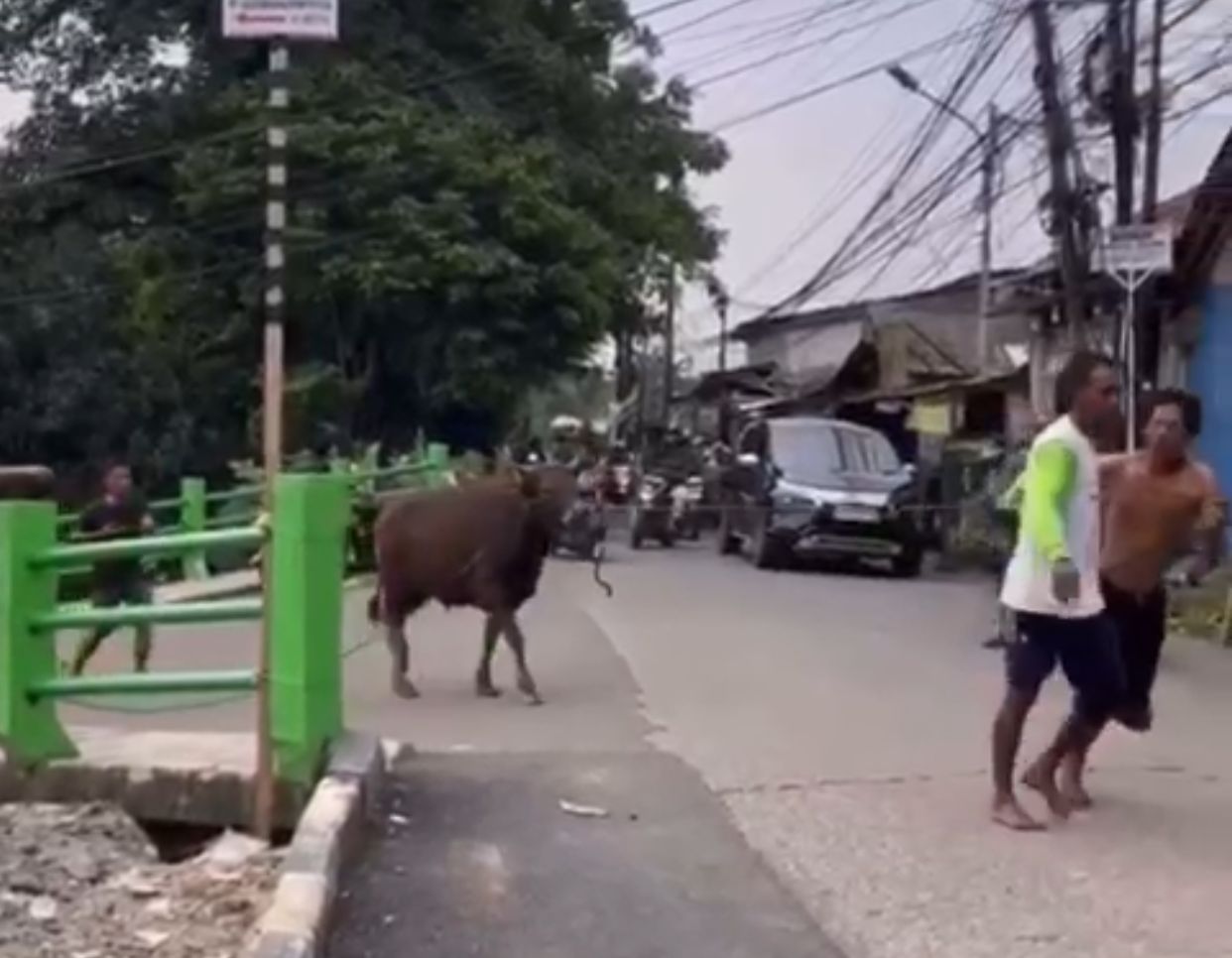 Tangkapan layar proses evakuasi sapi yang berusaha kabur saat hendak disembelih warga Bogor, Jumat (6/6/2025).