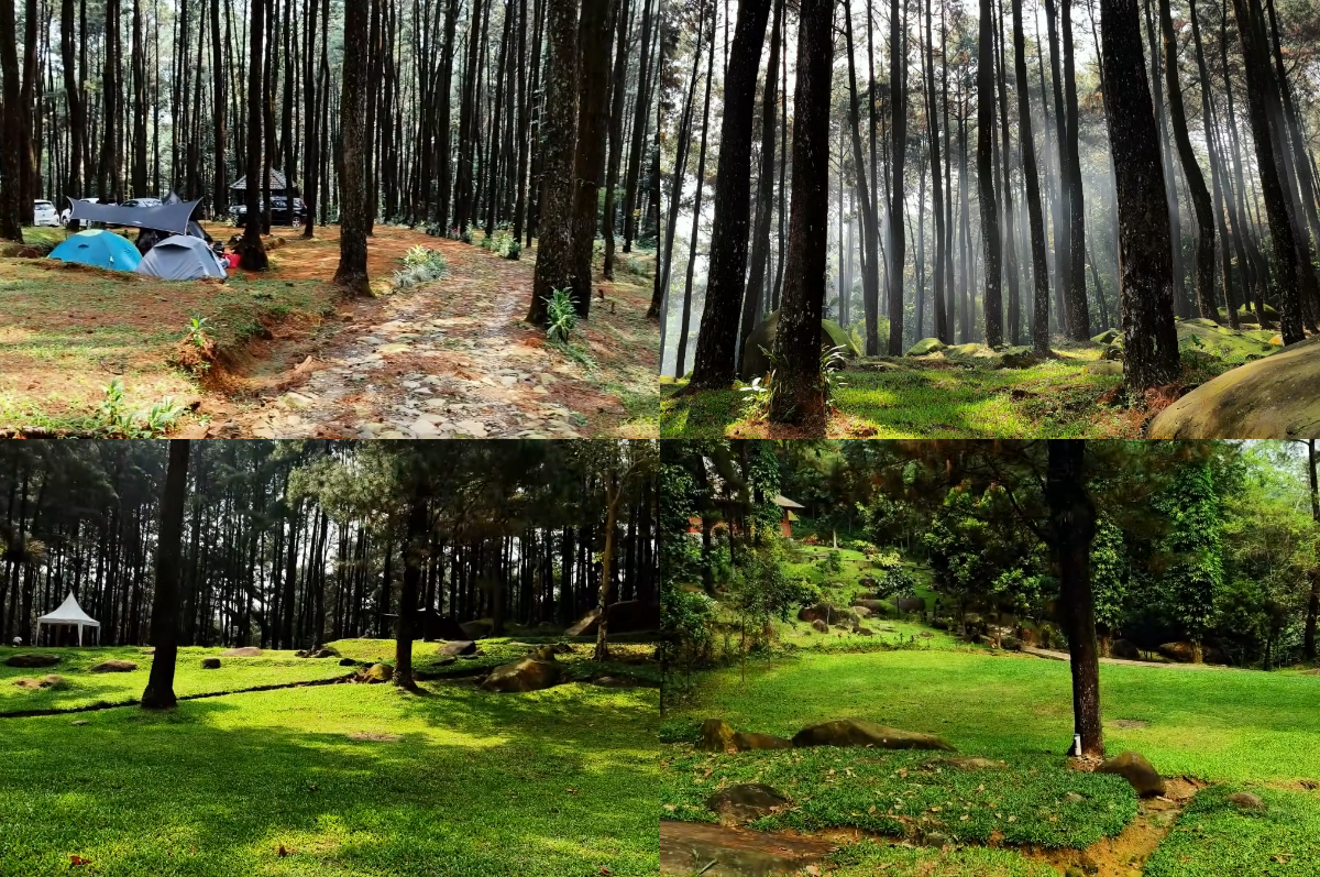 Camping nyaman di Bukit Batu Hijau.