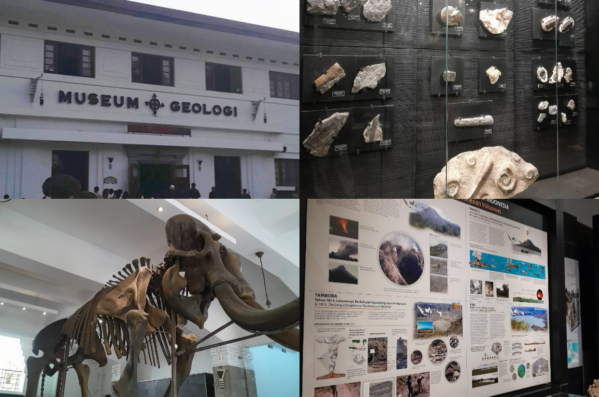 Wisata edukasi Museium Geologi Bandung.