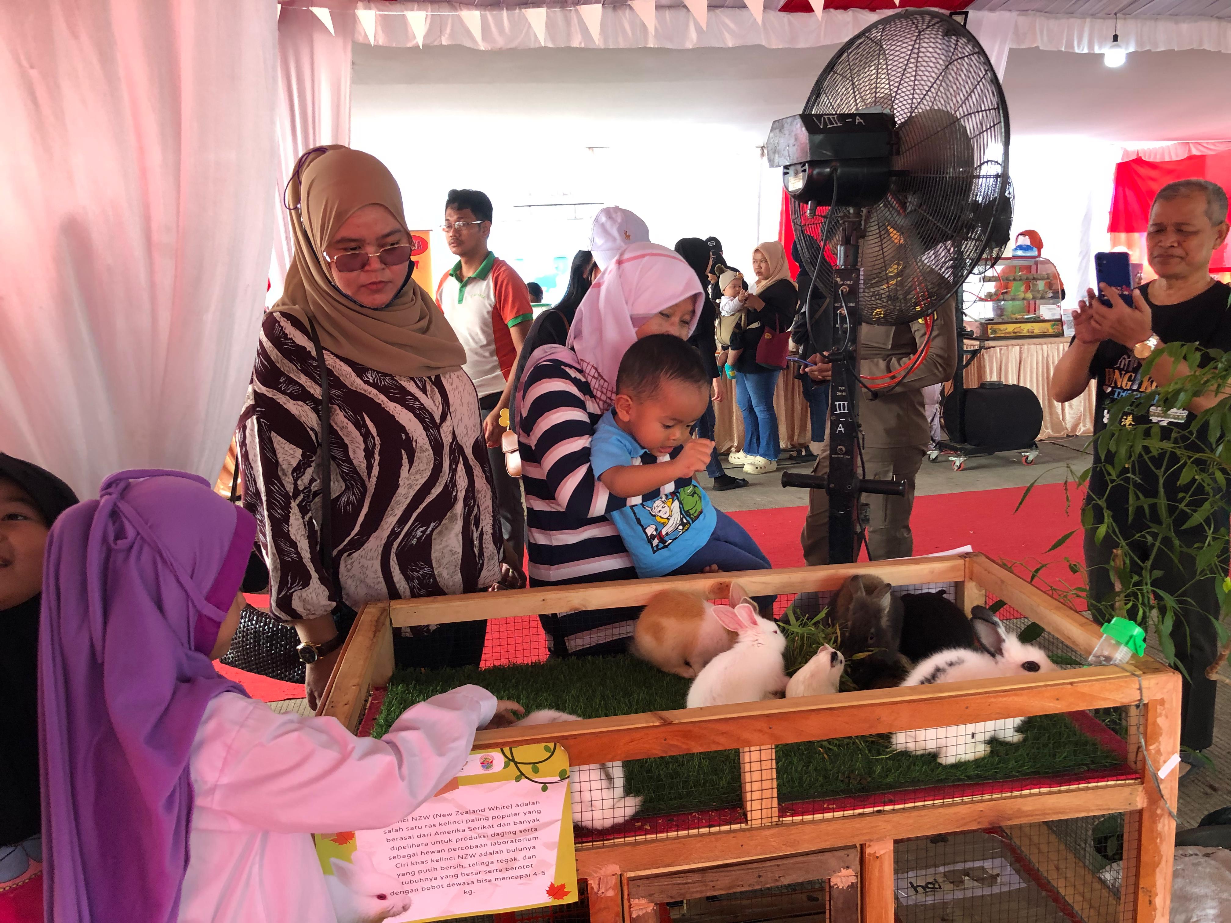 Antusias para pengunjung Kabogorfest 2025 saat mendatangi tenant mini kebun binatang.