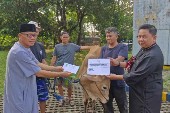 Keluarga besar SMA Plus YPHB dan Yayasan Ikatan Persaudaraan Haji Indonesia (IPHI) Kota Bogor berkurban pada Idul Adha 1446 Hijriah.